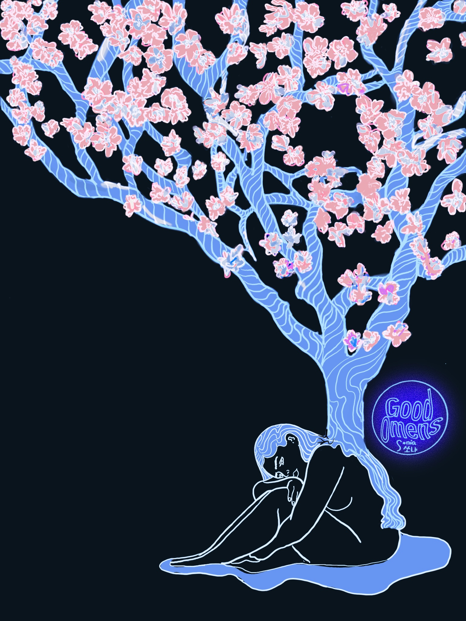Cherry Blossoms